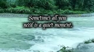 A Quiet Moment to Breathe