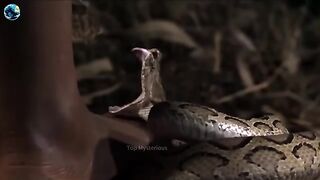 The DEADLIEST Island in the World