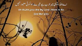 Tilawat e Quran Majeed