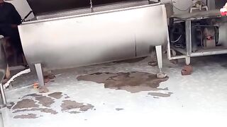 جھنگ پنجاب فوڈ اتھارٹی کی بڑی کارروائی جعلی و ملاوٹی دودھ برآمد