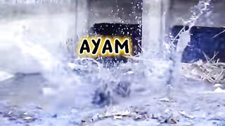 Prank