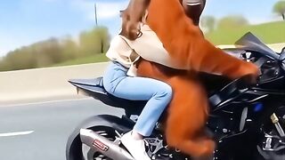Giant gorilla riding a motorbike with a beautiful girl