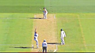Brydon carse top class bowling take wicket of stave smith