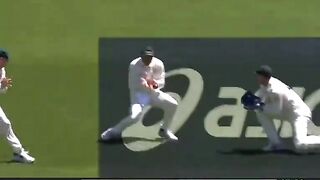 Mitchell starc destroyed england batting