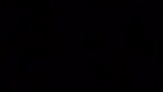 Dog save his donkey friend