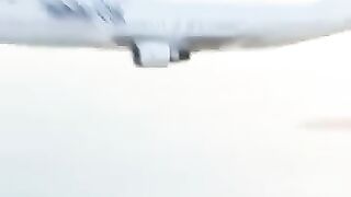 Cute cat that fell out of plane