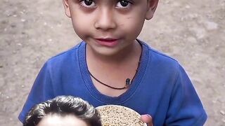 কমট ফন কমট ফন ভডও