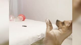 How To Cancel McAfee Subscription And Get Refund?