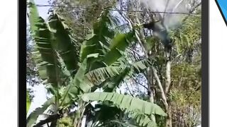 Seorang warga bernama Wage tewas tersengat listrik