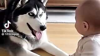 Kamal dog and biby