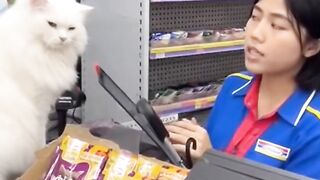 oren rebut whiskas