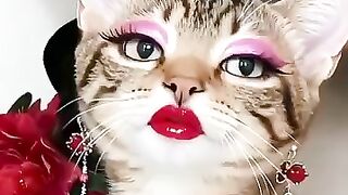When a cat is dressed up to be a singer