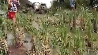 Pesawat jatuh