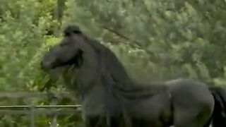 Horse riding