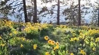 Beautiful nature
