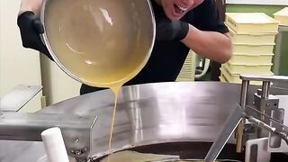 BAYASHI TV Giant Fried Rice