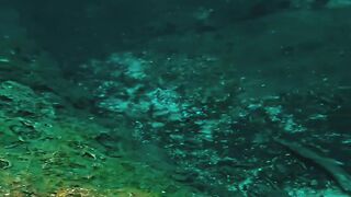 Lightweight, Compact, and Powerful  A Divers Dream Thruster