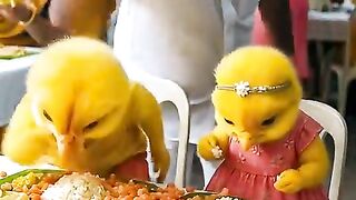 checks Small Wings shorts ai shortsai aishorts babychicks trending viral