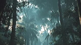 The Empire Swallowed by the Forest Until Its Guardian Woke Up