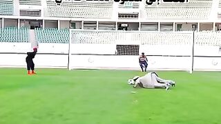 بعض الاحيان نتعمد الخطأ