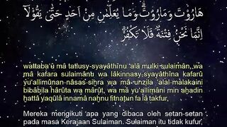 Verses of Solomon