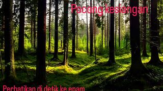 The ghost of oversleeping