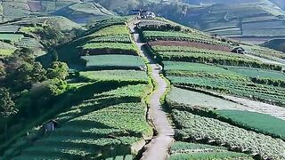Tour indonesia
