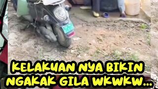 Makes you roll around laughing