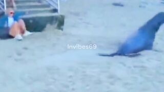 Adorable  Rare Animal Moments Youve Never Seen Before!