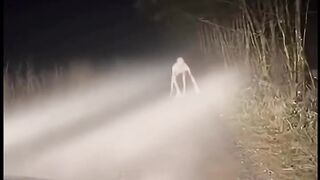 Mysterious man who blocked the driver