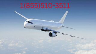 18555103825 American Airlines Customer Service