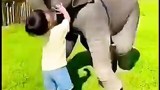 Litle boy and baby elephent