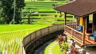Wonderfull view