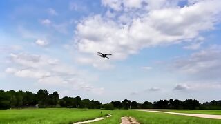 [VoorKlantcontact]Wat is het telefoonnummer van ITA Airlines 24 uur?