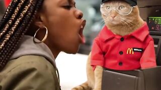 Kucing kena marah