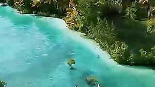 Welcome to Paradise