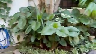 Luxury house with a fairly large garden 3