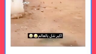 اف اللہ اس ظالم انسان نے بلی کے ساتھ زیادتی کر دی