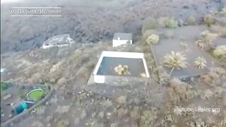 Собак спасли из лавы после извержения вулкана