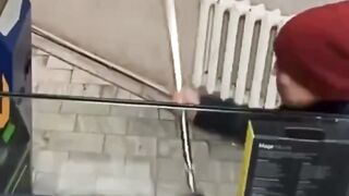 Женщина разнесла игровой автомат , замаскированный под терминал оплаты