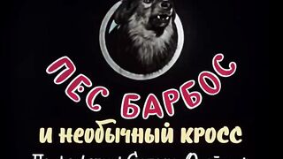 Пёс Барбос и необычный кросс FullHD
