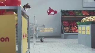 Котаны рекламируют немецкий супермаркет