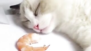 the cutest thing I've seen today!!