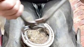 Satisfying hoof trim on some long feet