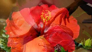 What should I give you