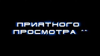 Смешное видео про котов №14