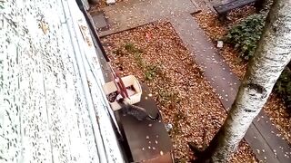 Смешное видео про котов №21