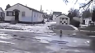 Смешное видео про собак №30