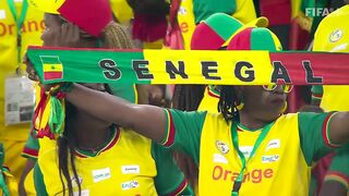 Late Dutch DRAMA in Group A clash | Senegal v Netherlands highlights | FIFA World Cup Qatar 2022