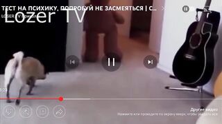 Комедия угара